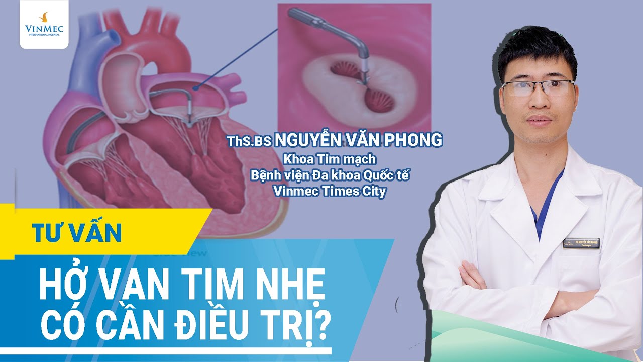Hở van tim nhẹ có cần điều trị?