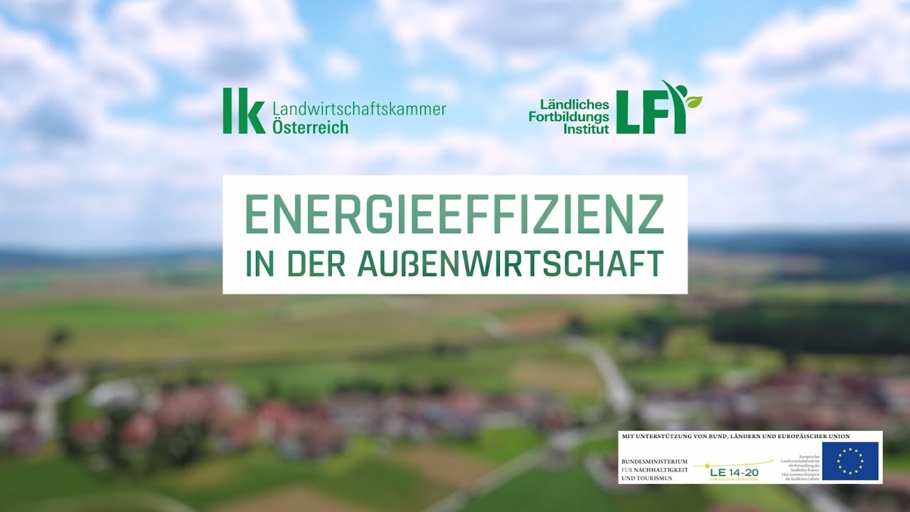 Energieeffizienz in der Außenwirtschaft