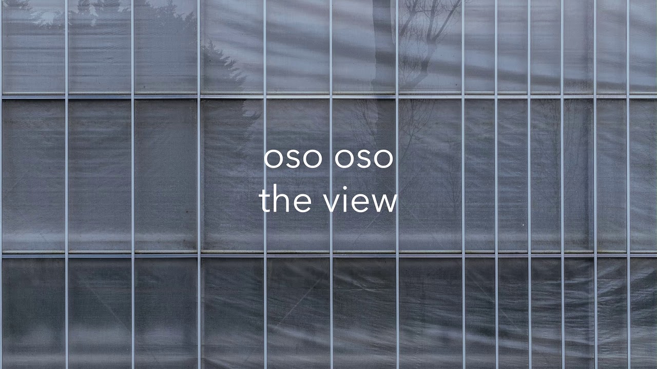 oso oso - 