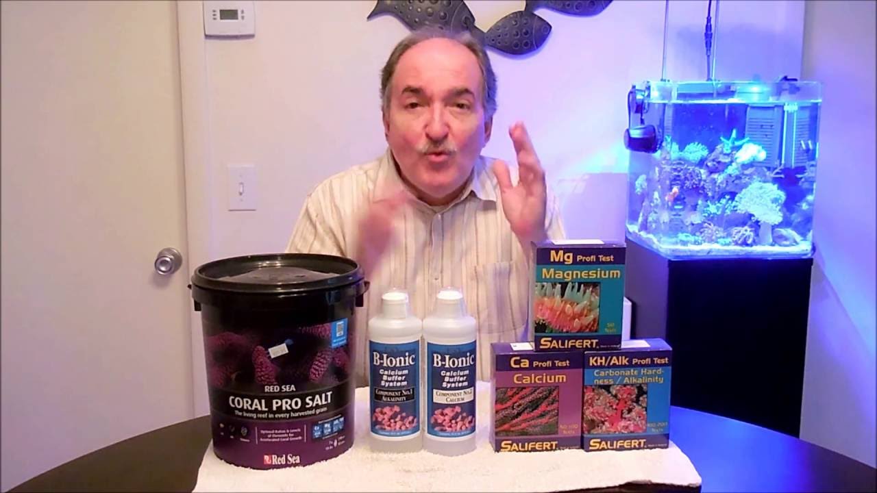 B-Ionic Two part dosing for Alkalinity/Calcium