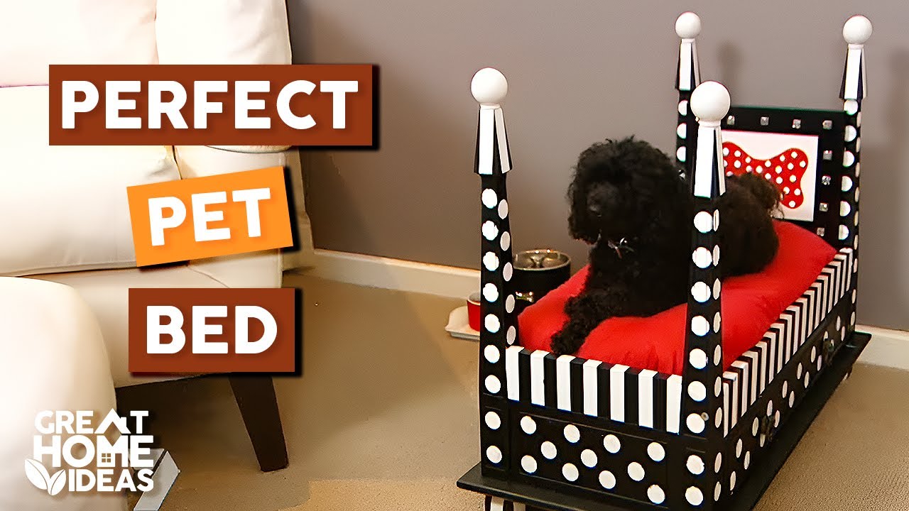 Classy DIY Dog Bed Your Pup Will Love!