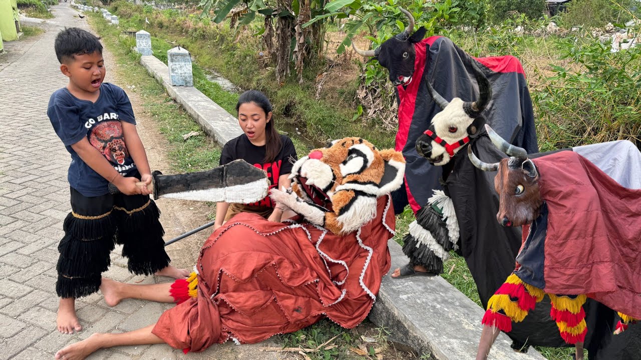 Drama Lucu Ngakak pool | BARONGAN CAN MACAN MANAK BANTENGAN BEROT KEMBAR TIGA 