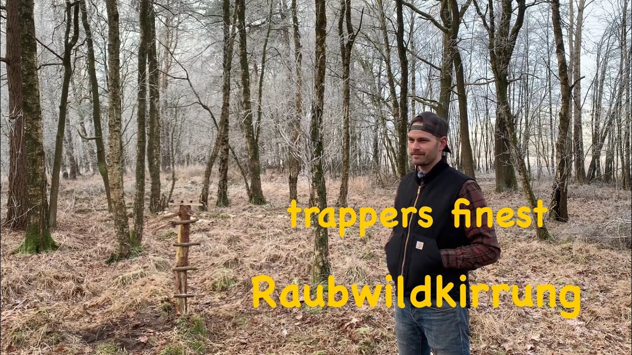 Raubwildkirrung
