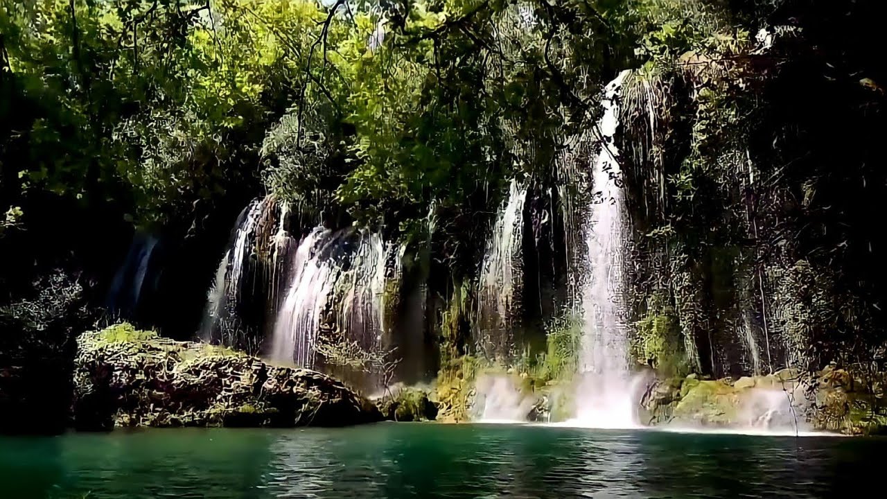 Relax with the most beautiful waterfall & Sounds of water and berds& One hour of natur sounds.