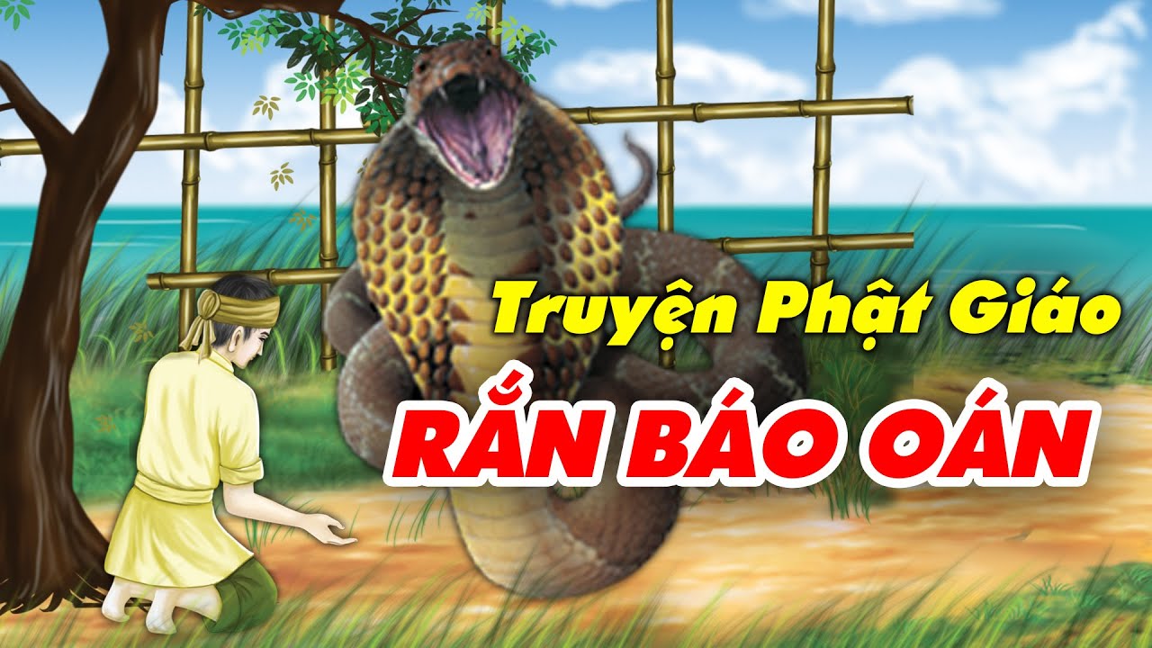 Kể Truyện Đêm Khuya, Rắn Báo Thù Đeo Bám Cả Đời - Quả Báo Ứng Không Bỏ Sót 1 Ai
