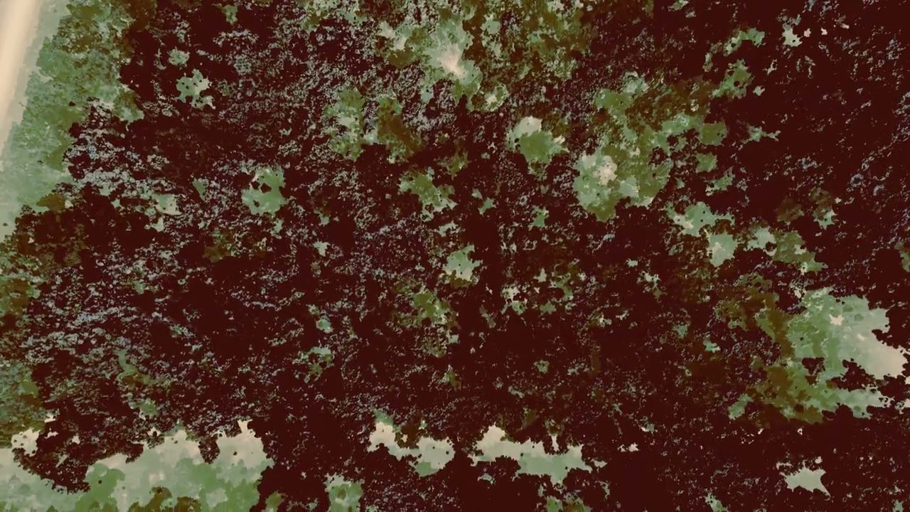ohrr - Ever Rest [2023] #postmetal #postrock #experimentalmetal #avantgardemetal #atmosphericmetal