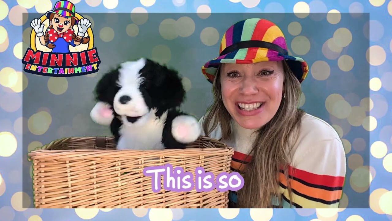 Minnie And Ben In a Basket Puppet Show! #puppetshow #melbourne #childrensentertainment #entertainer