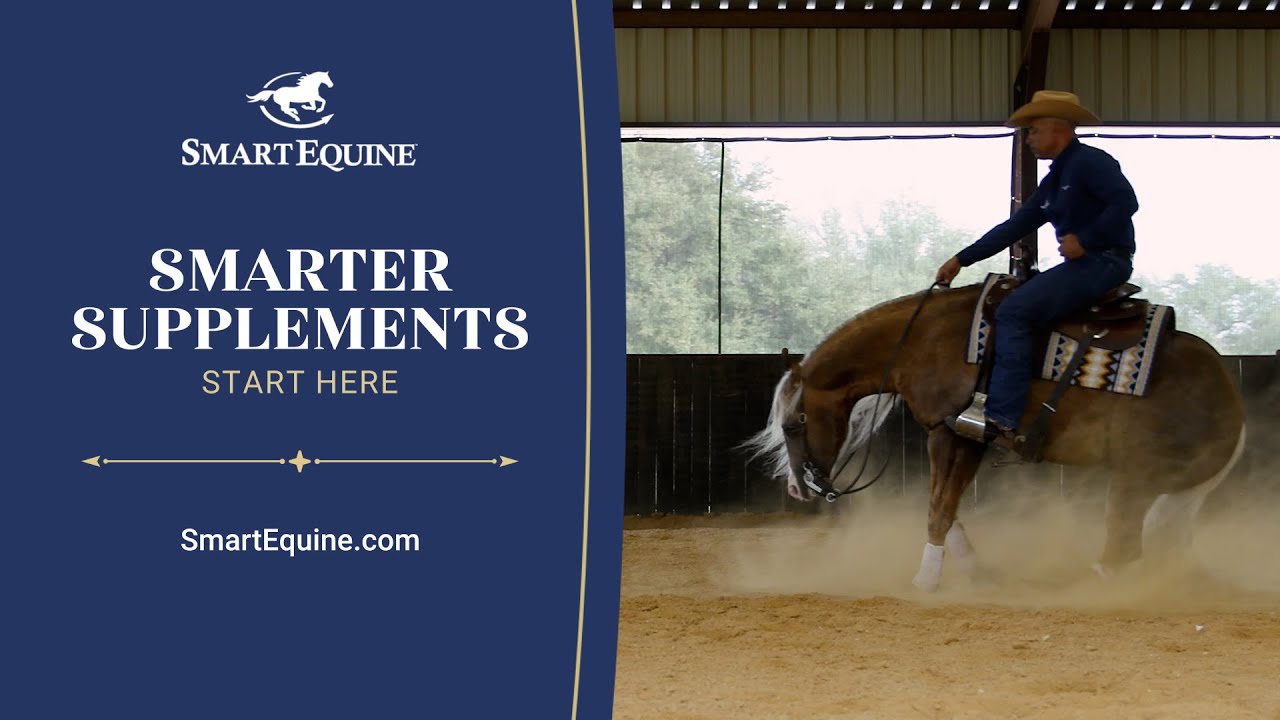 Smarter Horse Supplements Start Here