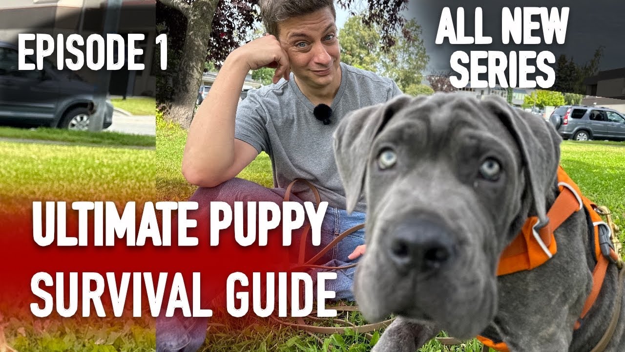 Episode 1: TOTALLY UNTRAINED: Ultimate Puppy Survival Guide