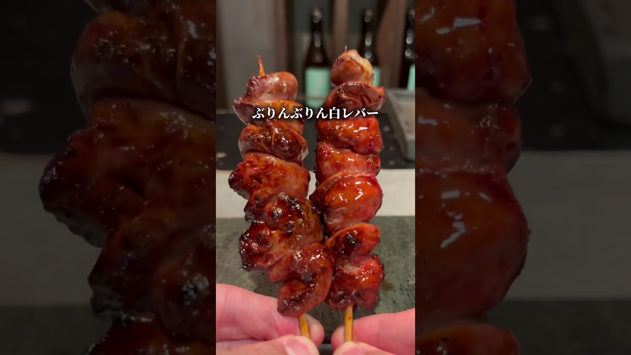 10品3000円台大人の焼鳥