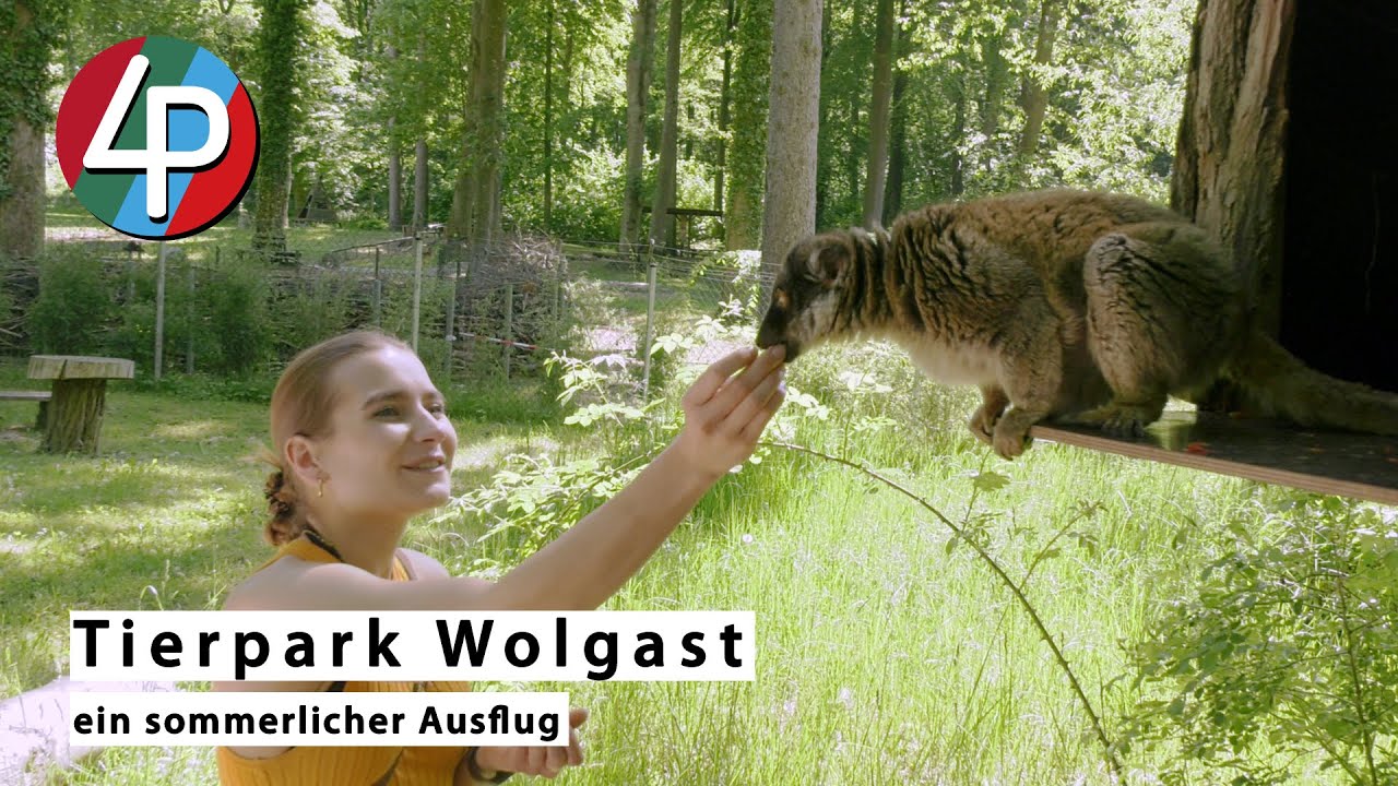 Ein Ausflug in den Tierpark Wolgast