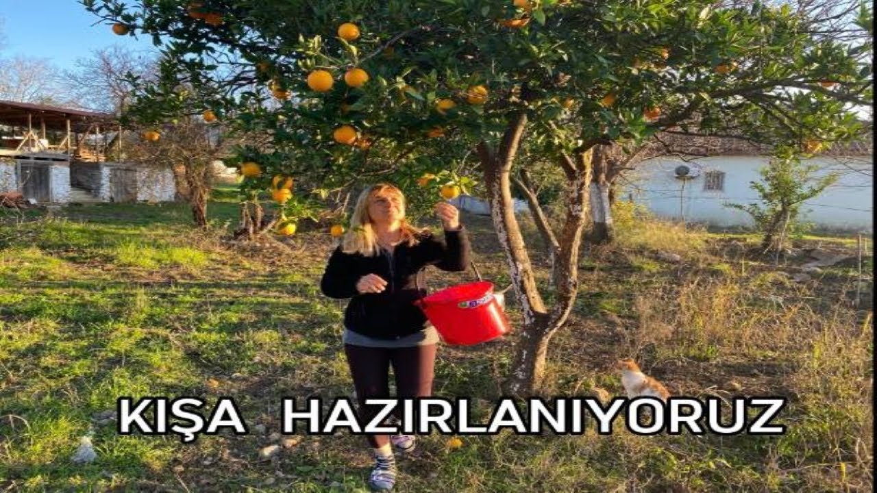 Köy evimizin  bahçesinin meyvesi başımıza ne iş açtı/köye göç / müstakil yaşam..
