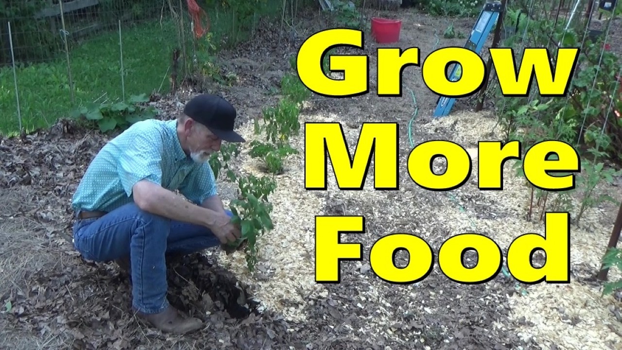 50 Years Gardening: What I Wish I Knew (Deep Mulch, Wet Spring & Summer Tips)