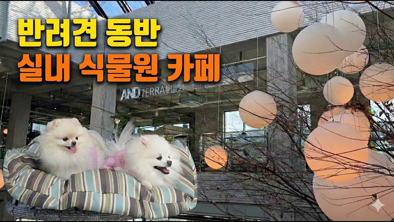 강아지와 함께 실내 식물원 카페 가요~ (앤드테라스 피터펫츠 내유점)