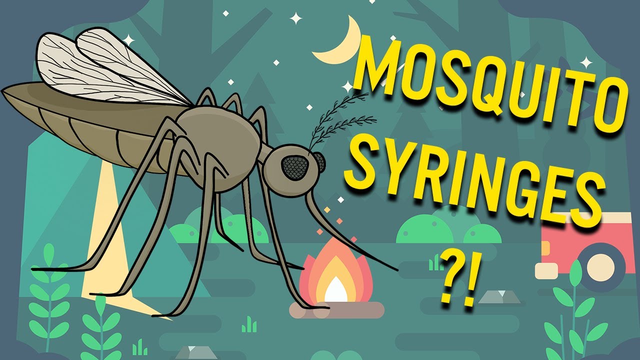 From Mosquito Bites To Vaccines | Bio-Inspiration