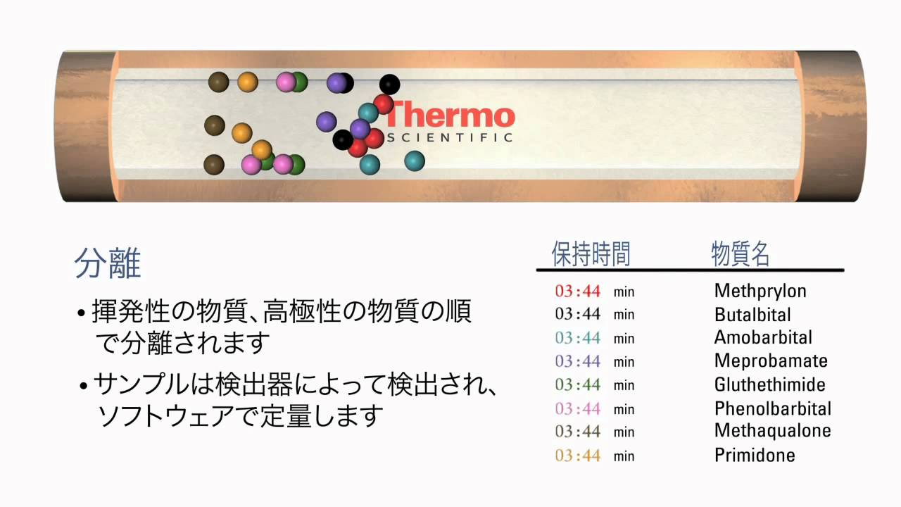 GCカラムの分離メカニズム