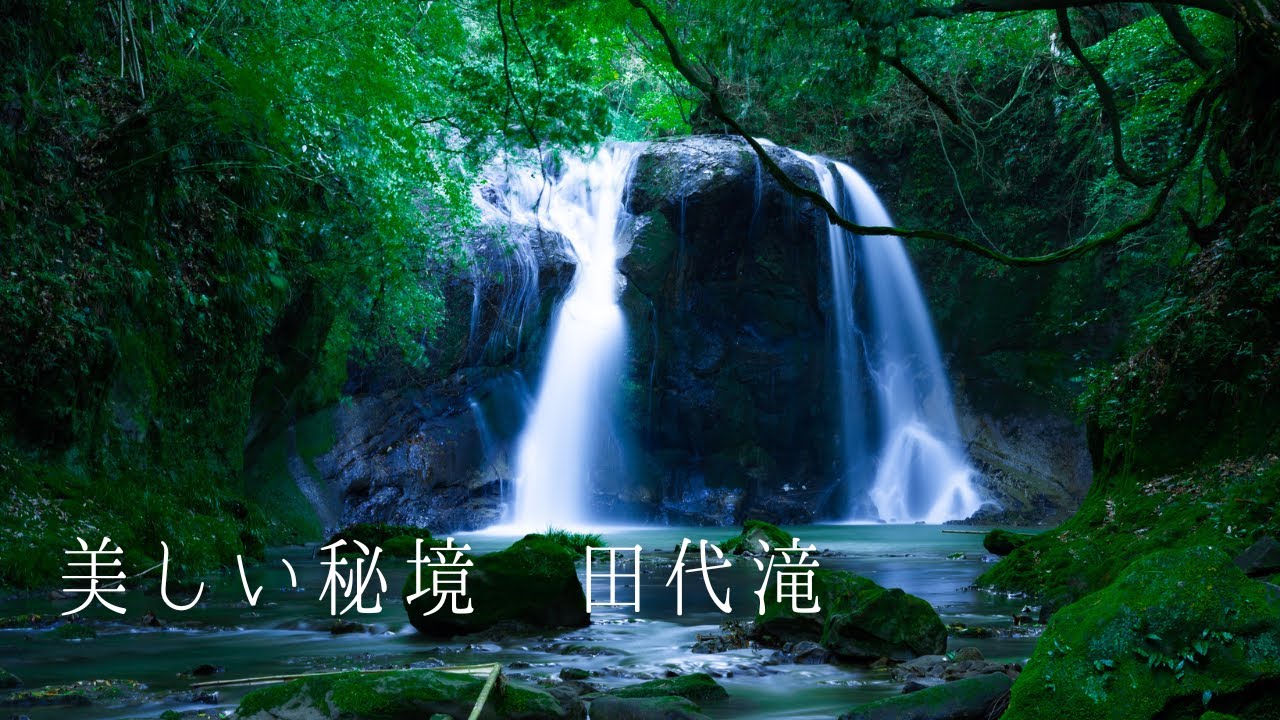 千葉県 田代滝 自然を歩く 癒しの映像 日本の絶景  癒し風景 Japan  Fresh Green Nature Relaxation