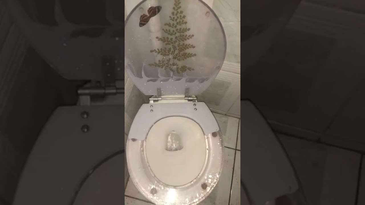 vaso sanit&aacute;rio antigo deca marajo
