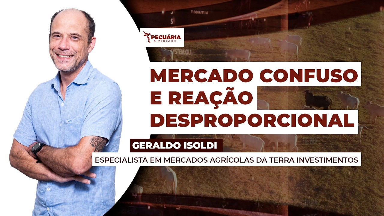 Conflito no Oriente Médio trouxe incertezas para o mercado do boi, mas fundamento seguem...