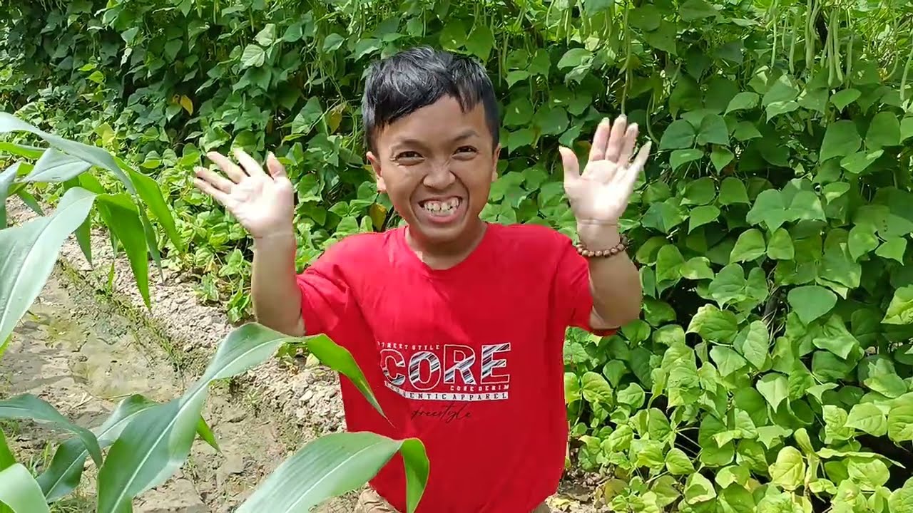 Sắp Tết Một Ngày Tham Quan Vườn Đậu Que Bạn Thân Mẹ Chú Lùn Đây 🧧🎋
