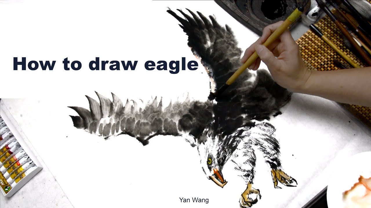 Eagle - Chinese Brush Painting Demonstration - 国画写意 -老鹰