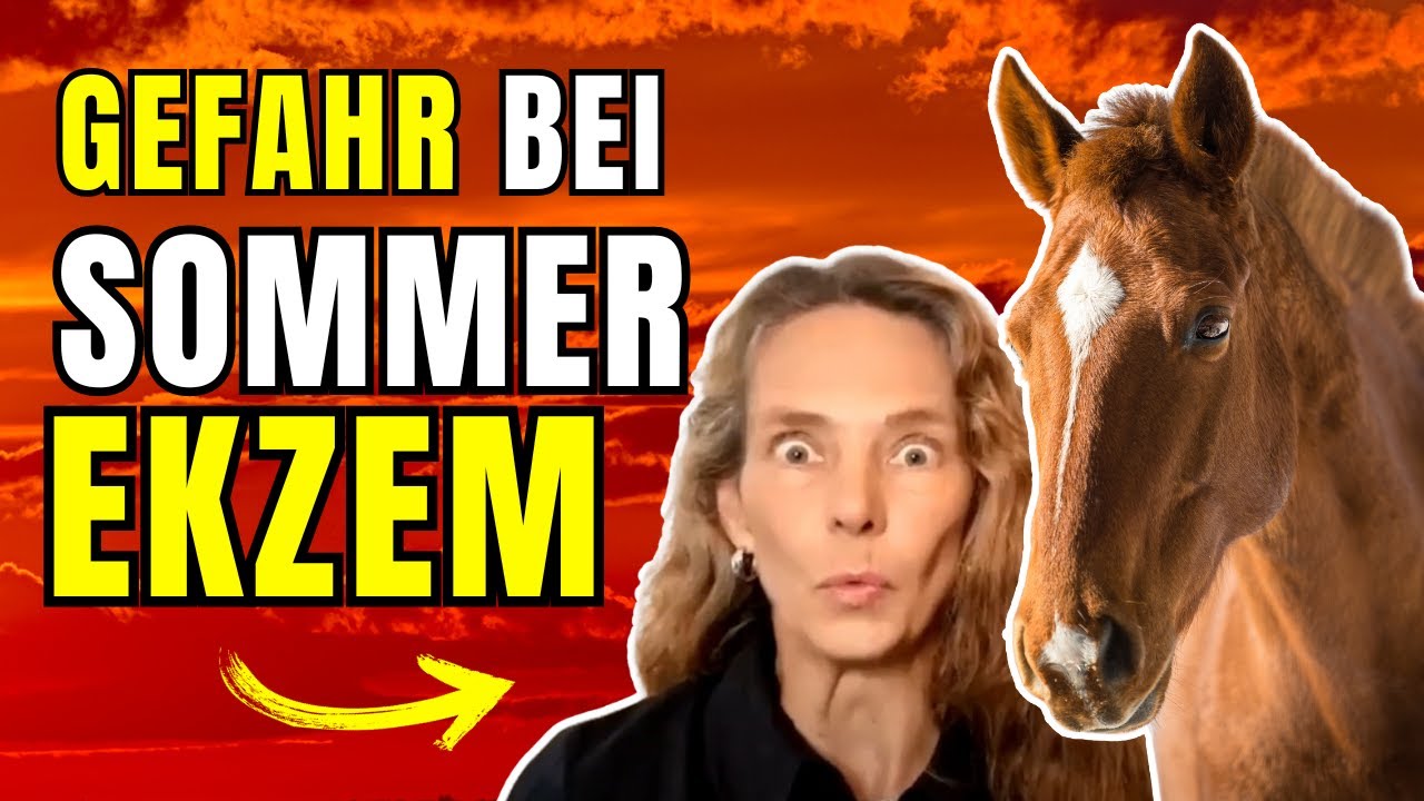 Schockierende Wahrheit über Sommerekzem (weiß niemand!)