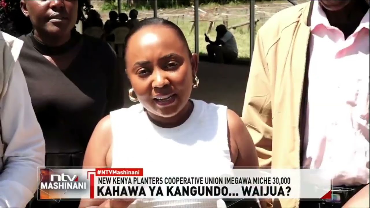 Machakos: Wakulima wa kahawa Kangundo wapata msaada mkubwa katika juhudi za kufufua kilimo chao
