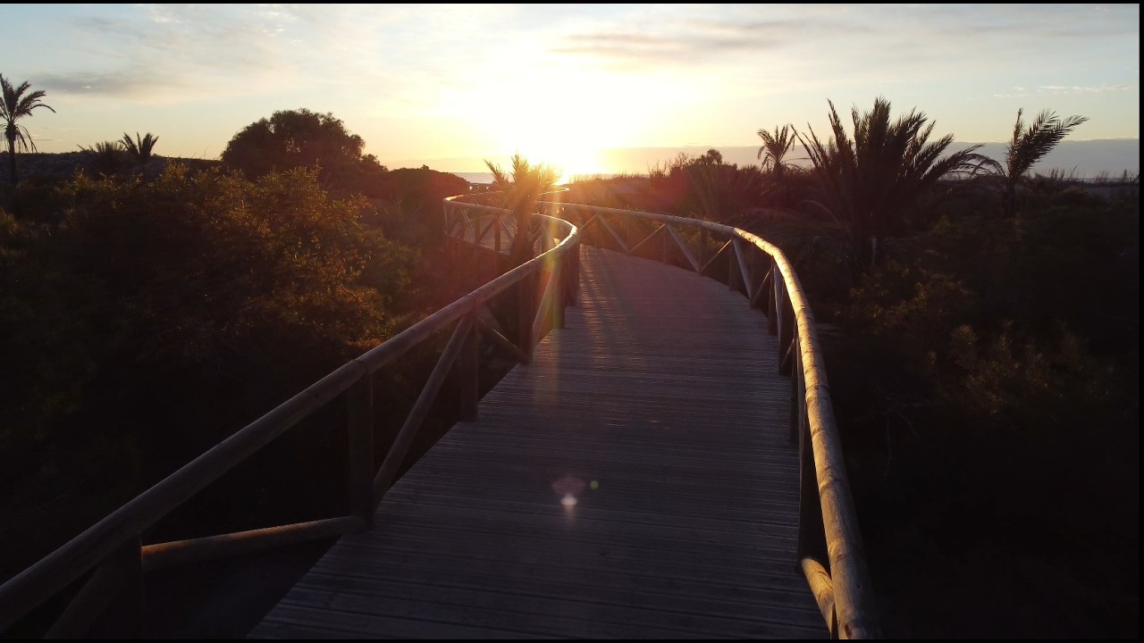 #01 | Junio 2022 | Playa de Los Viveros y R&iacute;o Segura | Dunas de Guardamar