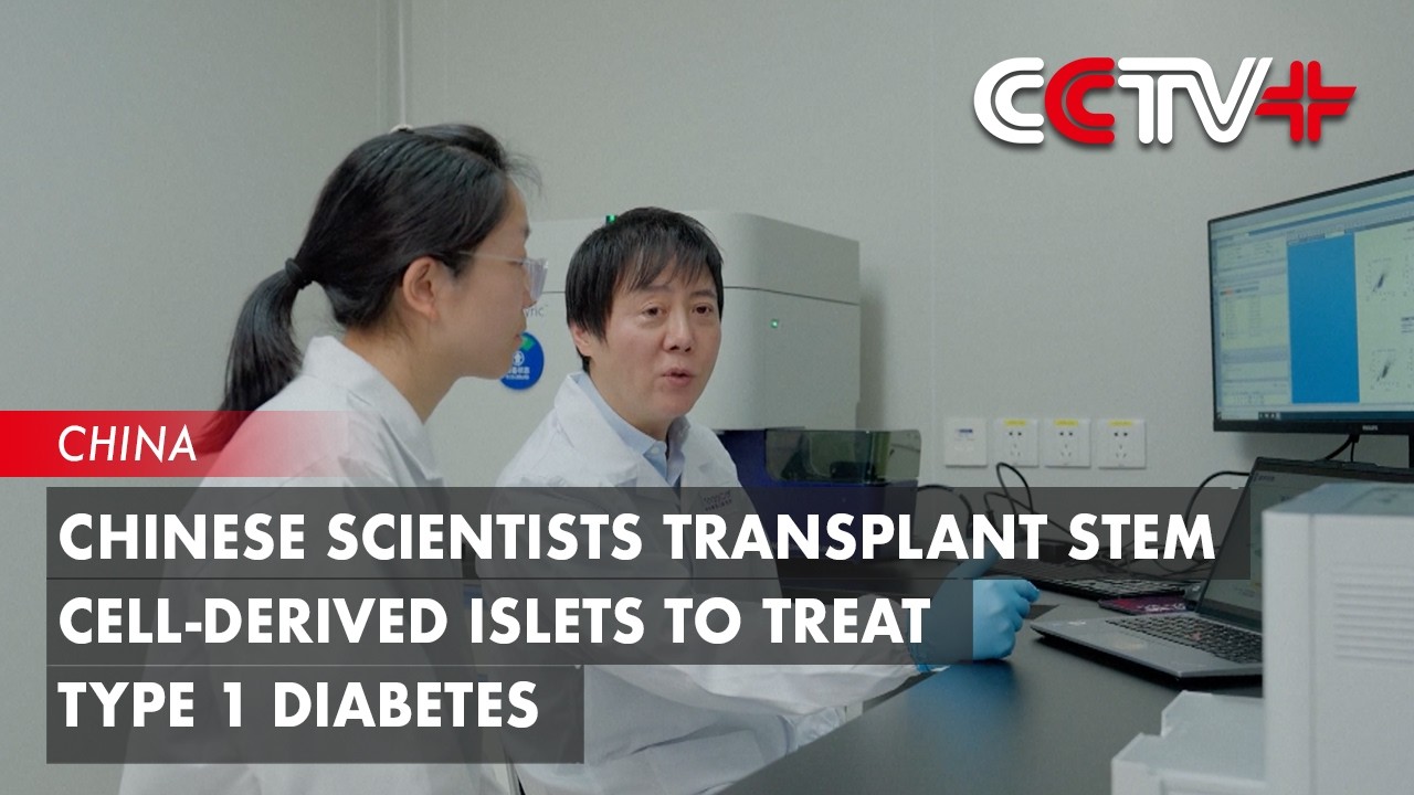 Chinese Scientists Transplant Stem Cell-Derived Islets to Treat Type 1 Diabetes