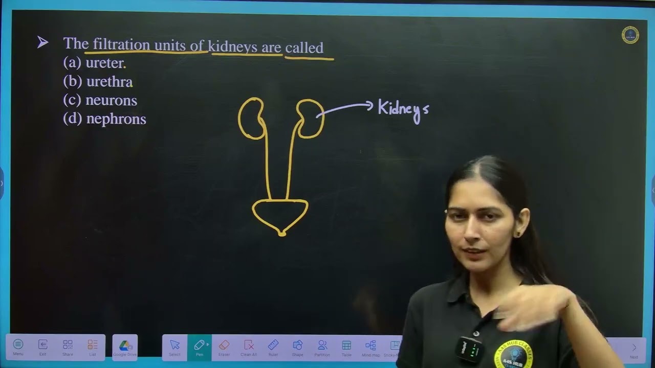 22. The filtration units of kidneys are called(a) ureter(b) urethra(c) neurons(d) nephrons