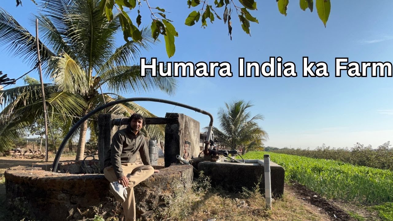 Humara India Ka Farm 🌱| Cotton Farming in Gujarat