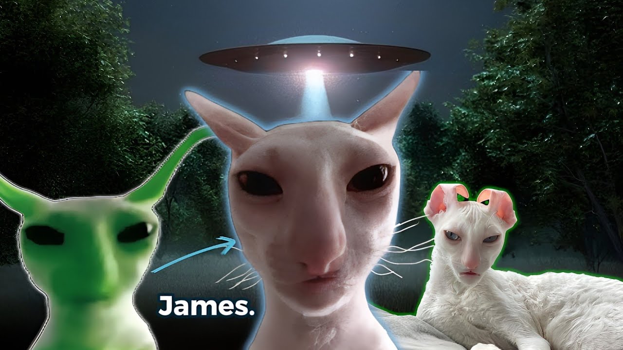James the cat full story (Alien Cat)