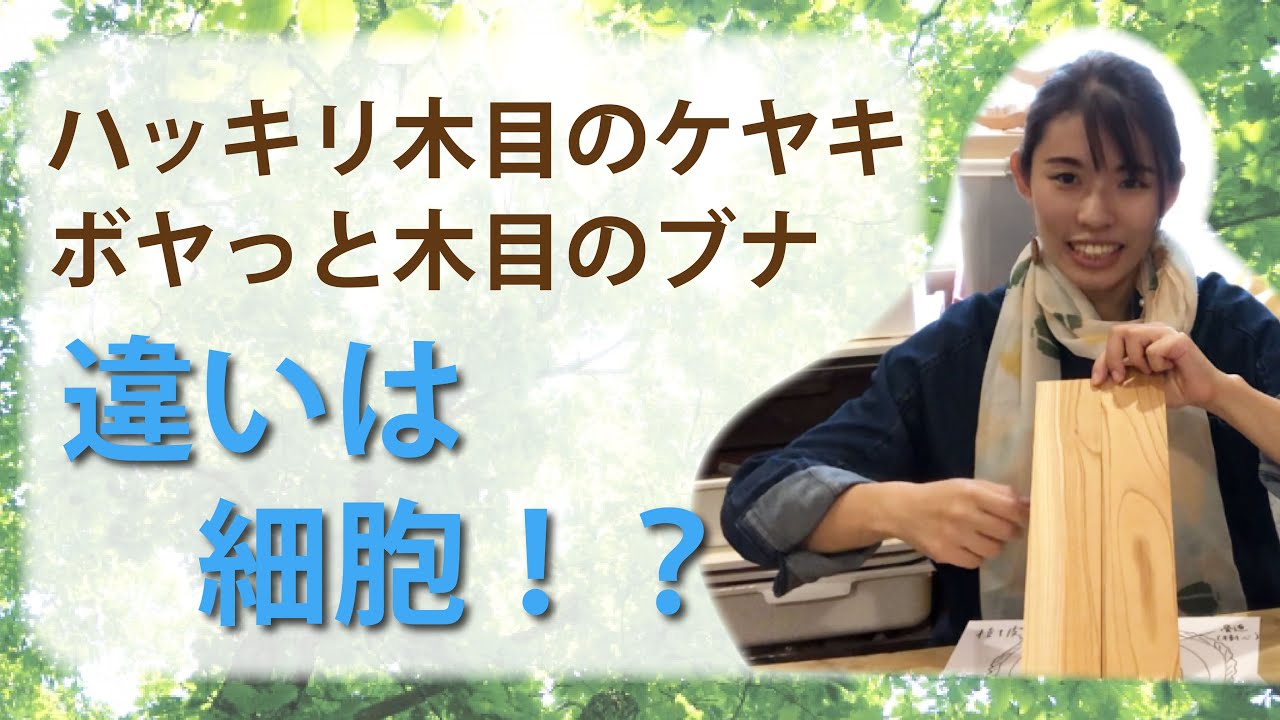 木材知識！細胞の違いが、木の表情を変える！？