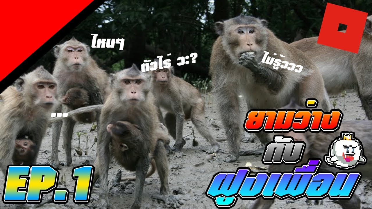 Roบูด