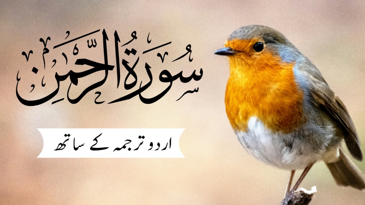 Surah Rahman With Urdu Translation  | سورہ رحمٰن | Ep 008 | Beautiful Recitation | Quran Tilawat |
