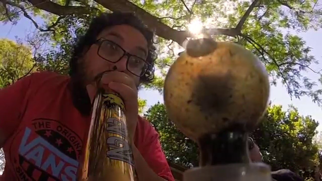 Copa Cannabica del Parana HD