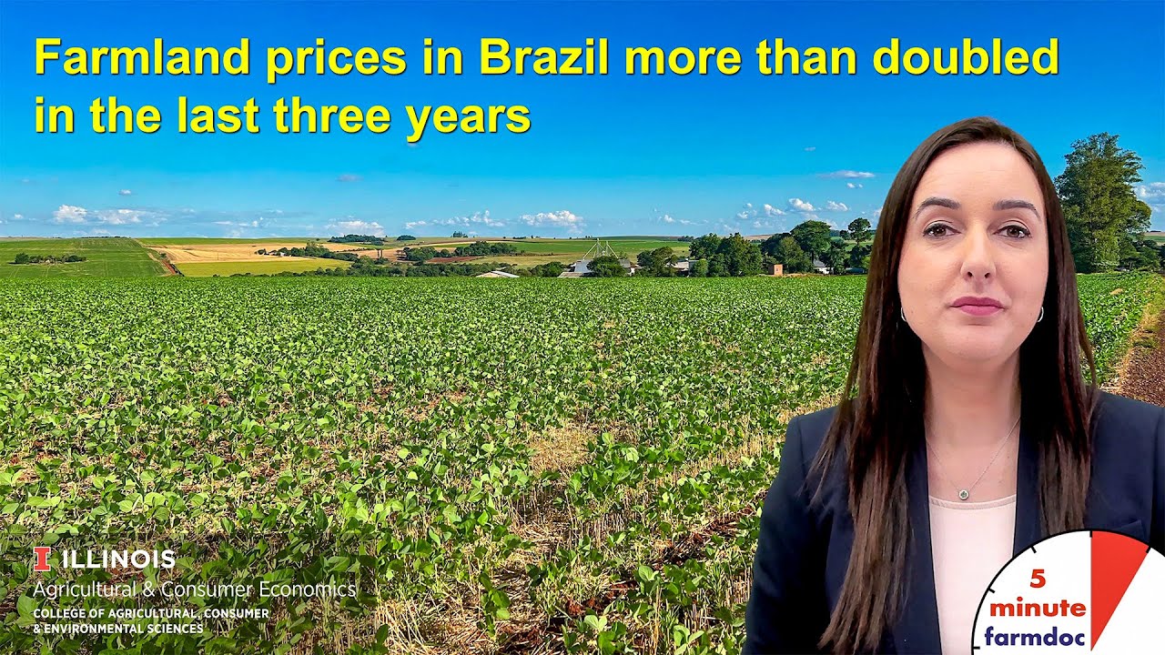 Farmland Prices in Brazil More than Doubled in the Last Three Years