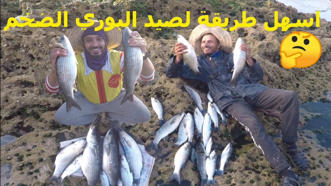 اخطر وافضل مونتاج  لصيد البوري الضخم فراجة اللهم بارك