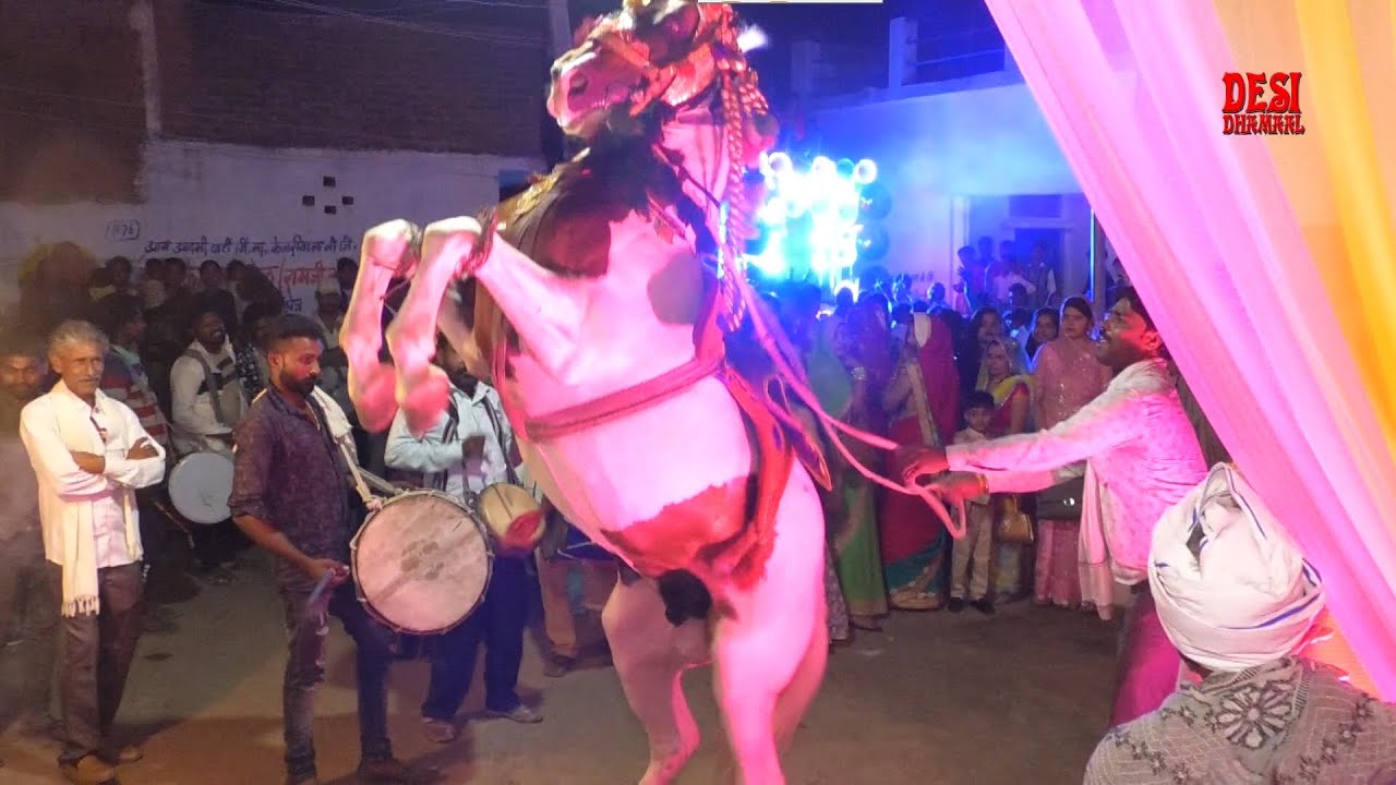 horse dance bundelkhand #bundeli_dance