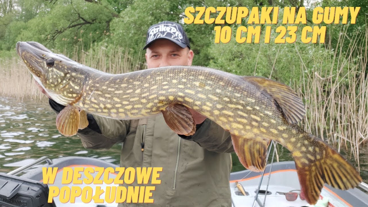 Jak łowię szczupaki w czystym jeziorze, deszczowa pogoda