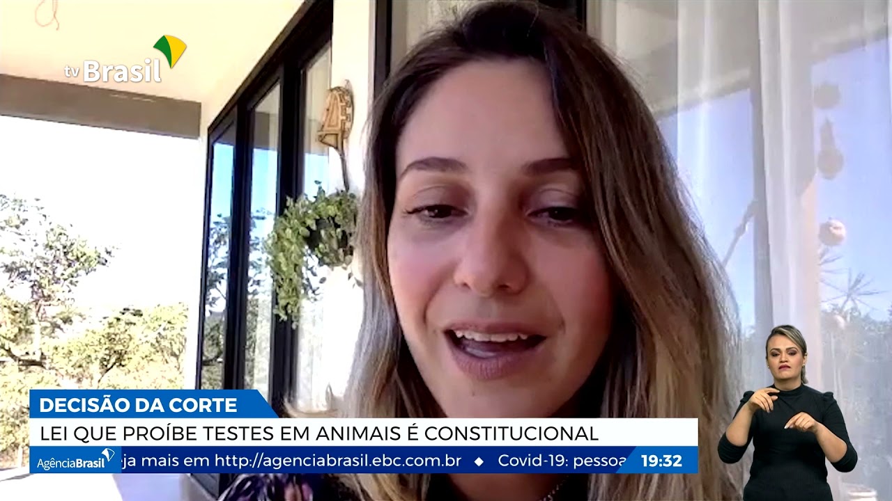 STF classifica como constitucionais leis que pro&iacute;bem testes em animais