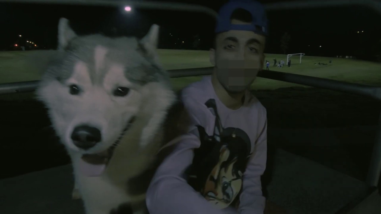 GIN BUMBLE - ADD ME (prod. by FBNBEATS)