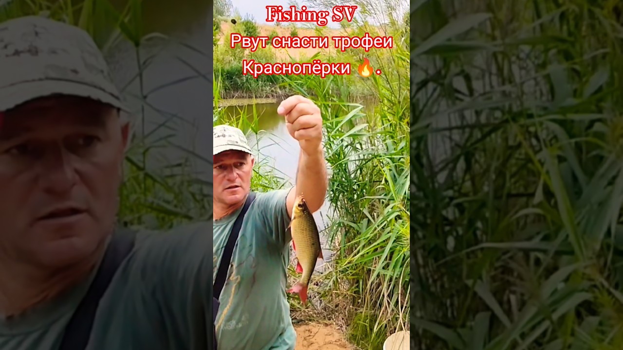 Супер Ловля Краснопёрки летом на карьере. 19.07.2026. #4k #video #fishing #увлечение #хобби #азарт