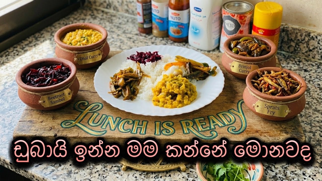 මගේ දවල් කෑම පිගාන | my lunch 🍽️ | matale girl 