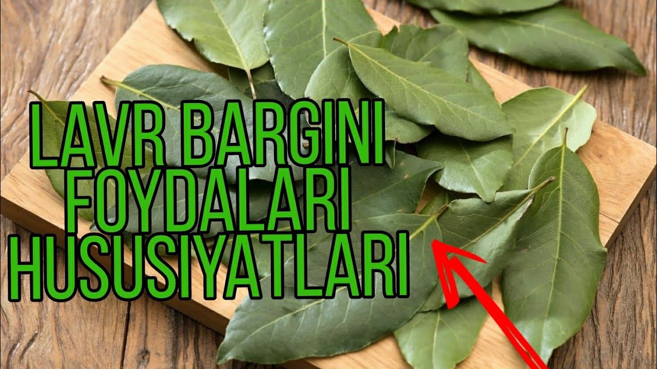 ЛАВР БАРГИНИ ФОЙДАЛИ ХУСУСИЯТЛАРИ