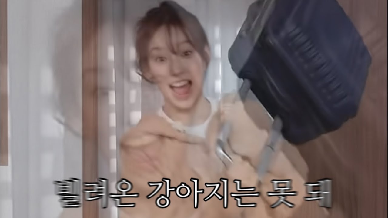 똥개 짖는 영상