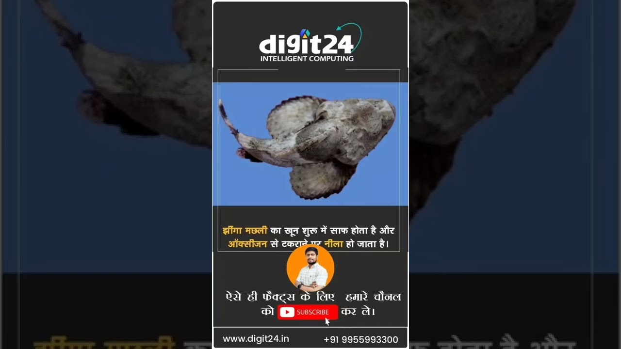 Jhinga Fish #Shorts #facts #gk #gkhindi #tanweeralam