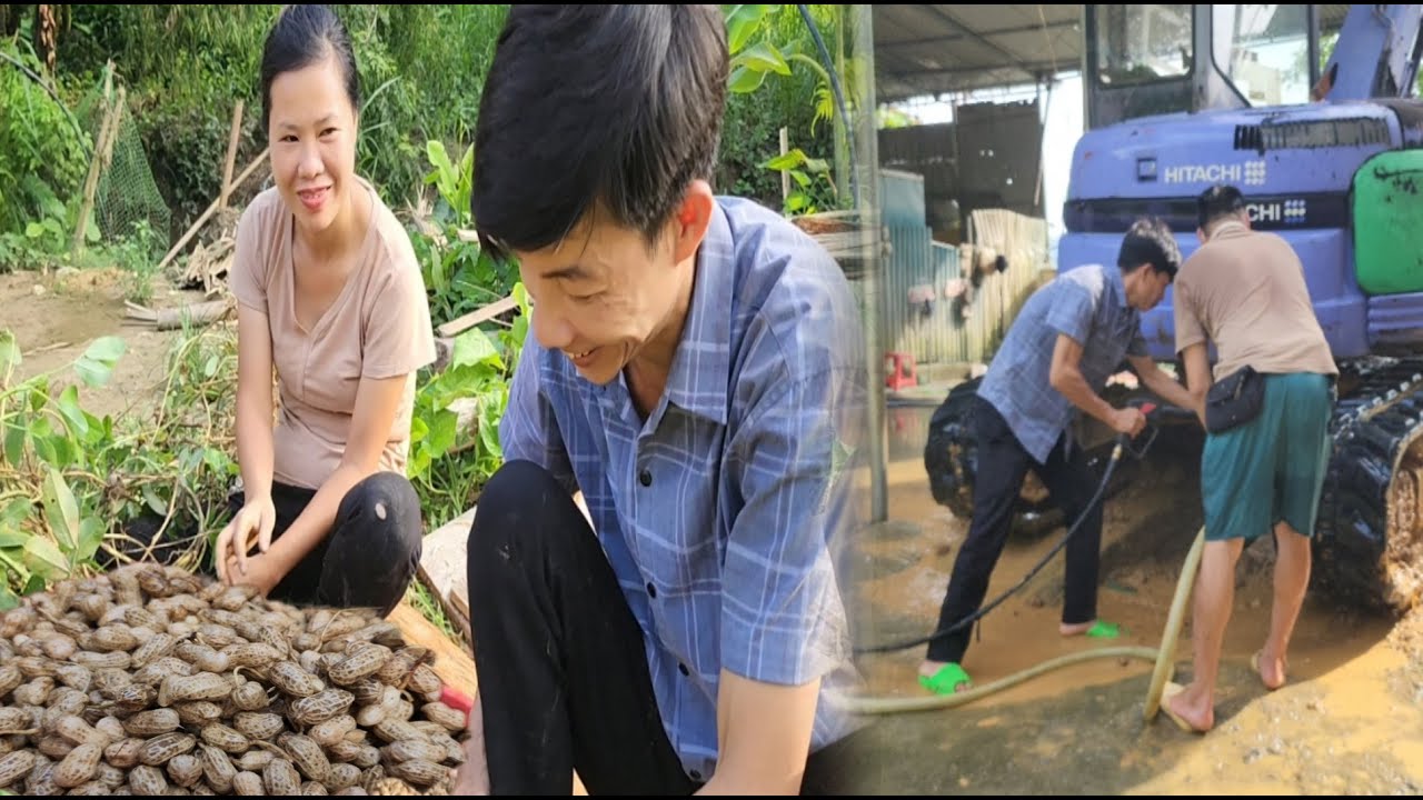 The girl feels the boy's sincerity ,Harvesting peanuts ,Visiting her disabled father at the hospital