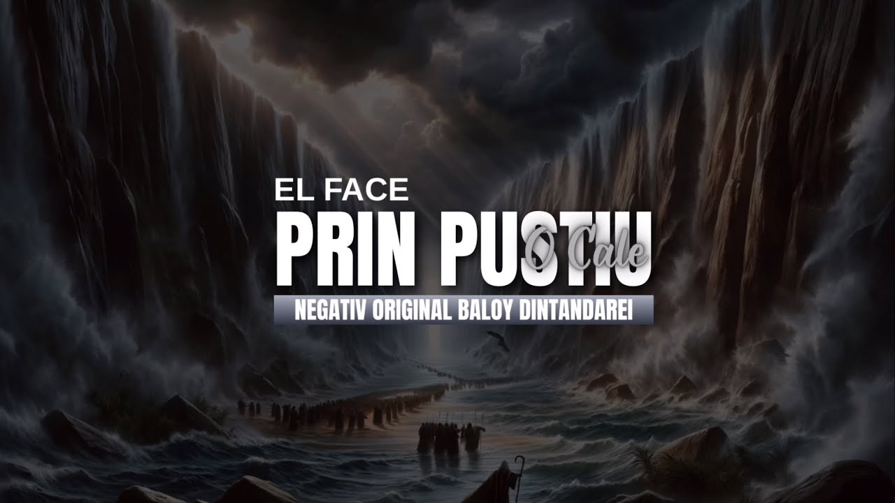 NEGATIV original El Face prin pustiu o Cale Baloy din Tandarei  2025