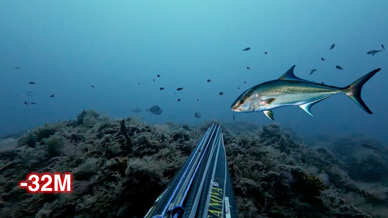 IN APNEA TRA CERNIE E RICCIOLONI !! PESCASUB